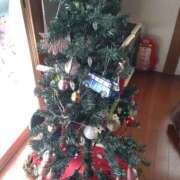 みつこ 今年の予定(⁠◕⁠ᴗ⁠◕⁠✿⁠) 妻天 梅田店