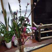 ヒメ日記 2026/03/01 11:25 投稿 みつこ 妻天 梅田店