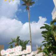 ヒメ日記 2026/01/29 14:03 投稿 りえこ 人妻パラダイス