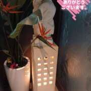 ヒメ日記 2026/03/20 00:42 投稿 りえこ 人妻パラダイス