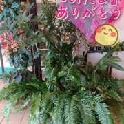 ヒメ日記 2026/05/10 01:12 投稿 りえこ 人妻パラダイス