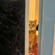 ヒメ日記 2025/04/28 15:03 投稿 さき 人妻パラダイス