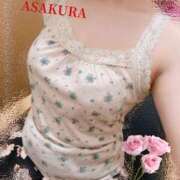 ヒメ日記 2025/09/14 10:49 投稿 朝倉 ミセスの手ほどき