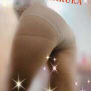 ヒメ日記 2025/10/17 10:53 投稿 朝倉 ミセスの手ほどき