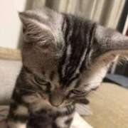 ヒメ日記 2024/12/24 06:30 投稿 さゆみ 奥様の実話 なんば店