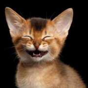 ヒメ日記 2025/01/22 06:01 投稿 さゆみ 奥様の実話 なんば店