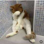 ヒメ日記 2025/03/28 06:28 投稿 さゆみ 奥様の実話 なんば店