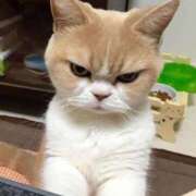 ヒメ日記 2025/08/27 06:27 投稿 さゆみ 奥様の実話 なんば店