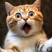 ヒメ日記 2025/11/20 06:30 投稿 さゆみ 奥様の実話 なんば店