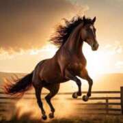 ヒメ日記 2025/12/15 06:30 投稿 さゆみ 奥様の実話 なんば店