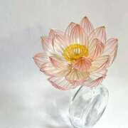 ヒメ日記 2026/01/20 06:15 投稿 さゆみ 奥様の実話 なんば店