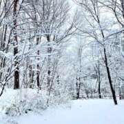 ヒメ日記 2026/01/21 06:30 投稿 さゆみ 奥様の実話 なんば店