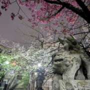 ヒメ日記 2025/04/03 00:32 投稿 りおな 鶯谷デリヘル倶楽部