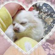 ヒメ日記 2025/03/23 22:28 投稿 シロコロのアイ C級グル女　鶯谷店