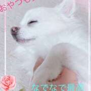 ヒメ日記 2025/04/16 14:24 投稿 シロコロのアイ C級グル女　鶯谷店