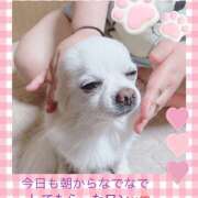 ヒメ日記 2025/04/30 10:10 投稿 シロコロのアイ C級グル女　鶯谷店