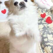 ヒメ日記 2025/05/26 06:59 投稿 シロコロのアイ C級グル女　鶯谷店