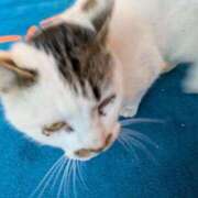 ヒメ日記 2025/03/02 07:35 投稿 うぶ 熟女家 東大阪店（布施・長田）