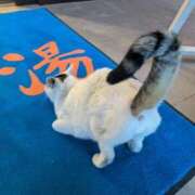 ヒメ日記 2025/03/03 09:45 投稿 うぶ 熟女家 東大阪店（布施・長田）