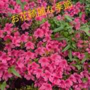 ヒメ日記 2025/05/27 11:15 投稿 うぶ 熟女家 東大阪店（布施・長田）