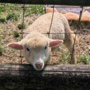 ヒメ日記 2025/06/25 07:15 投稿 うぶ 熟女家 東大阪店（布施・長田）