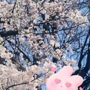 ヒメ日記 2025/04/05 13:57 投稿 奥村 手コキ専門店「寸止め抜き地獄」