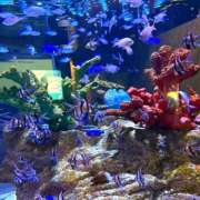 ヒメ日記 2025/11/04 08:11 投稿 まりか 恋愛マット同好会