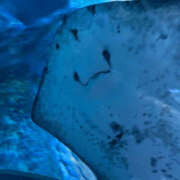 ヒメ日記 2025/11/06 20:58 投稿 まりか 恋愛マット同好会