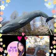 ヒメ日記 2025/03/30 19:24 投稿 井口-いぐち MSC 妄想紳士倶楽部 鶯谷店