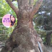 ヒメ日記 2025/04/19 14:29 投稿 井口-いぐち MSC 妄想紳士倶楽部 鶯谷店