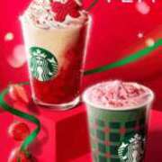 ヒメ日記 2025/11/06 02:44 投稿 片瀬-かたせ MSC 妄想紳士倶楽部 鶯谷店