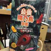 ヒメ日記 2025/06/23 10:40 投稿 みなよ 吉祥寺人妻研究会