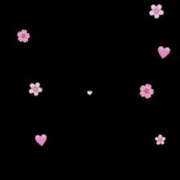 ヒメ日記 2025/04/08 20:13 投稿 りさ VIP