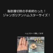 ヒメ日記 2025/04/22 18:03 投稿 りさ VIP