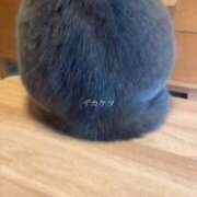 ヒメ日記 2025/12/03 11:13 投稿 りさ VIP