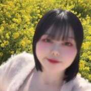 ヒメ日記 2025/03/28 09:17 投稿 ふみ 奴隷コレクション梅田店