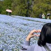 ヒメ日記 2025/05/16 16:41 投稿 ふみ 奴隷コレクション梅田店