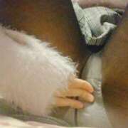 ヒメ日記 2026/02/10 17:19 投稿 ふみ 奴隷コレクション梅田店