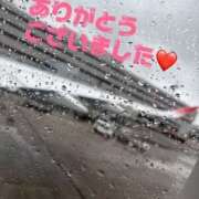 ヒメ日記 2025/06/11 09:57 投稿 ゆず 土浦ハッピーマットパラダイス