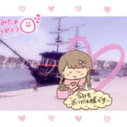 はるか 【ご予約♡とっても嬉しい(*･ω･)*_ _)ﾍﾟｺﾘ】 シャロン横浜