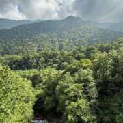 ヒメ日記 2025/07/10 10:34 投稿 Chigusa CELEB（セレブ）