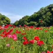 ヒメ日記 2025/05/18 09:33 投稿 美浦かおり 五反田発 痴漢電車or全裸入室