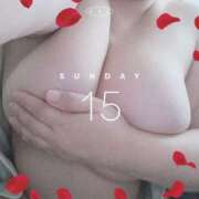 ヒメ日記 2024/12/15 11:27 投稿 もとみ 熟女家 ミナミエリア店