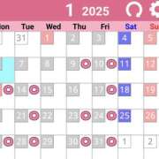 ヒメ日記 2025/01/07 15:28 投稿 かりん プレイガール(亀有)