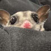 ヒメ日記 2024/12/08 18:25 投稿 みく 梅田人妻秘密倶楽部