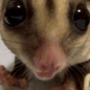 ヒメ日記 2024/12/12 01:10 投稿 みく 梅田人妻秘密倶楽部