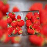 ヒメ日記 2025/04/23 00:30 投稿 みく 梅田人妻秘密倶楽部