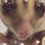 ヒメ日記 2025/07/16 01:00 投稿 みく 梅田人妻秘密倶楽部