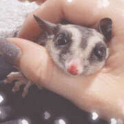 ヒメ日記 2025/07/25 01:55 投稿 みく 梅田人妻秘密倶楽部