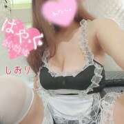 ヒメ日記 2025/05/06 21:41 投稿 しおり 熟女デリヘル秘宝館Z